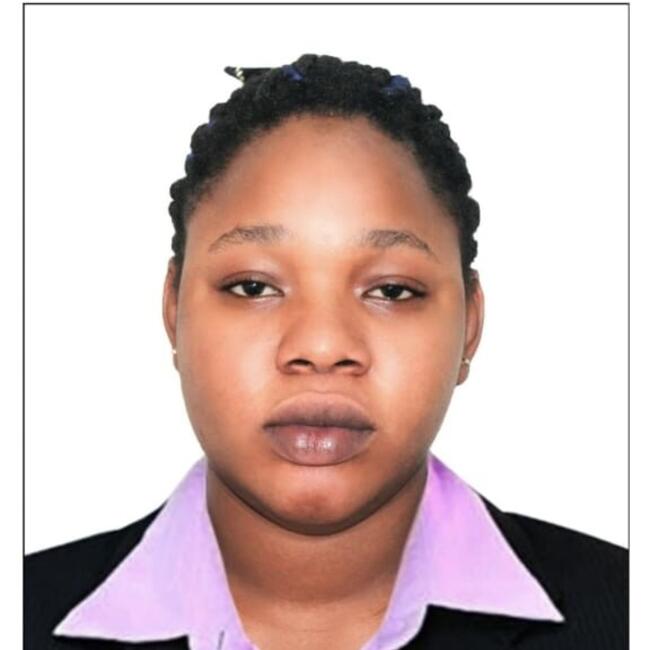 Babysitter in Lagos: Raheem