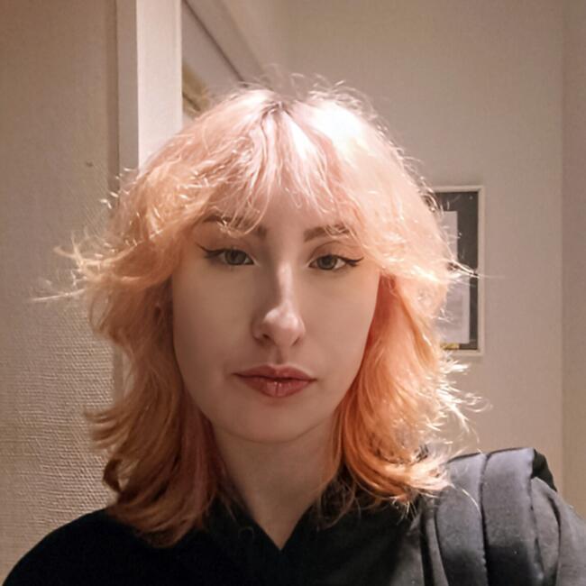 Babysitter in Poitiers: Anaïs