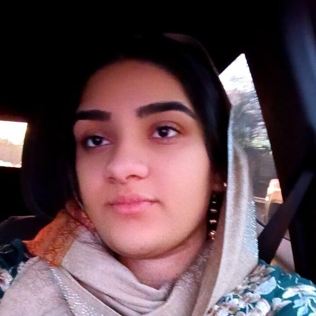 Babysitting job in Vâlcea: Stoian