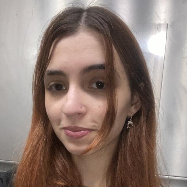 Babysitting job in São Paulo (São Paulo): Rafaella