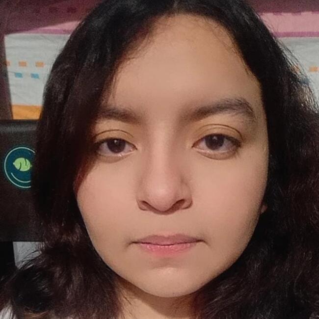 Babysitter in Lima Lima: Aramburu María Fernanda