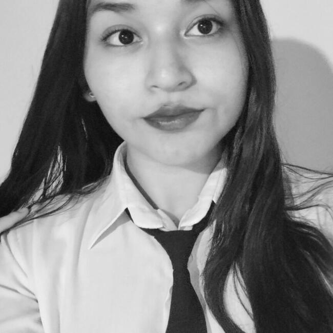 Babysitter in Laredo: Saraí