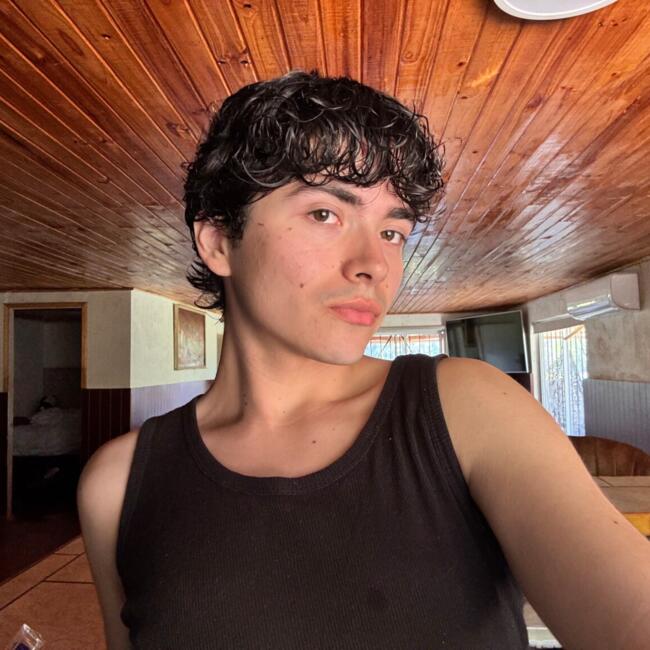 Niñera en Santiago de Chile: Fernando Galindo