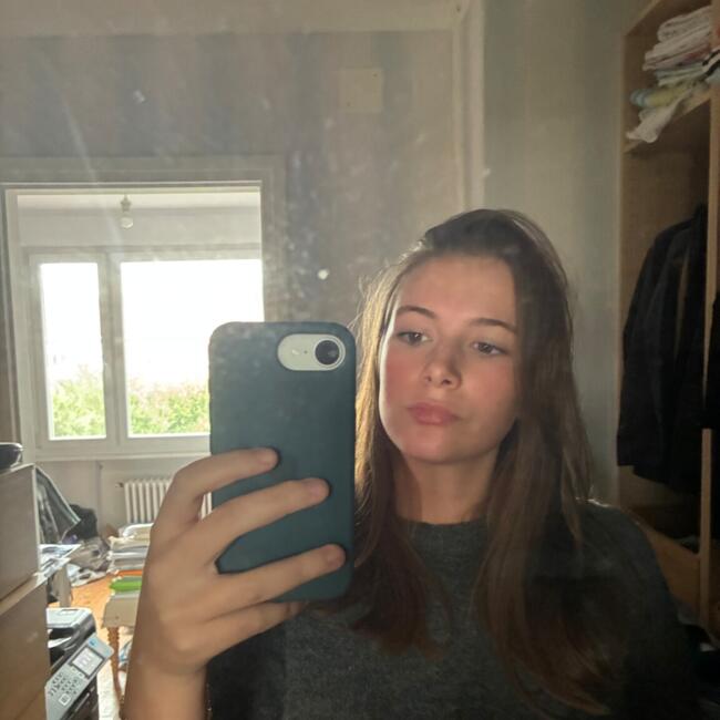 Babysitter in Saint-André-lez-Lille: Roubin