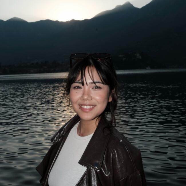 Babysitter a Lecco: Turkizat
