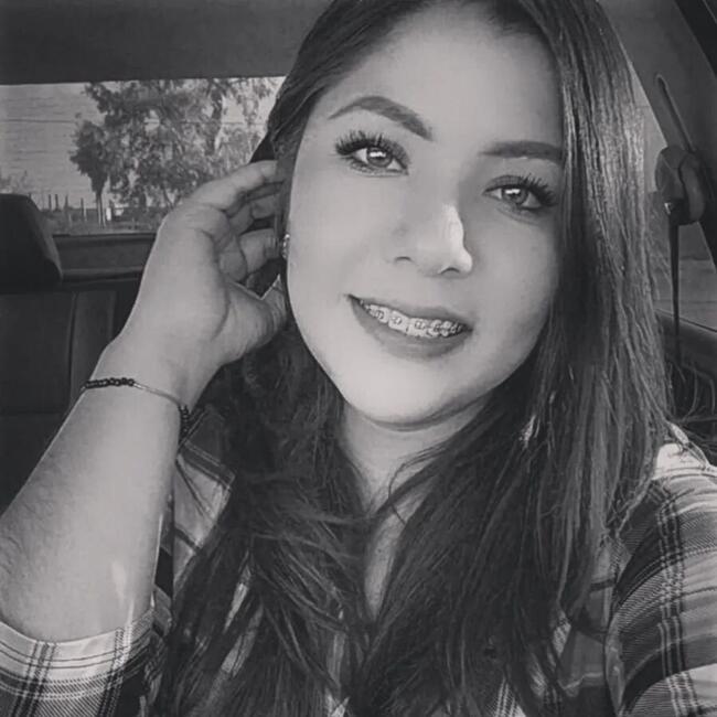 Babysitting job in Hermosillo: Cristal