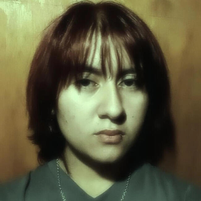 Babysitter in Los Polvorines: Ayelen