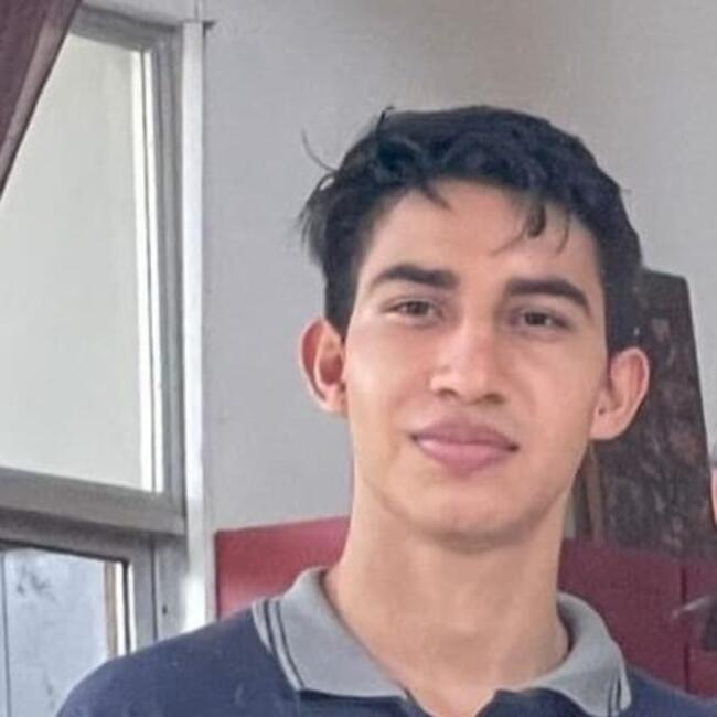 Babysitter in San José (Provincia de San José): Derek