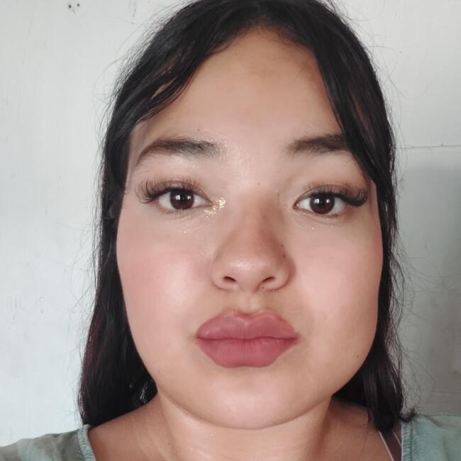 Babysitter in Aguascalientes: Ana