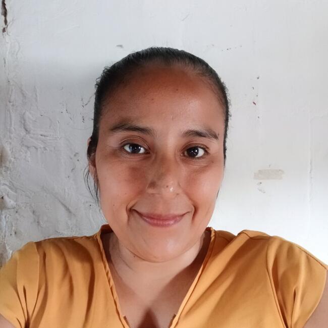 Babysitter in Guayas: Diana lady