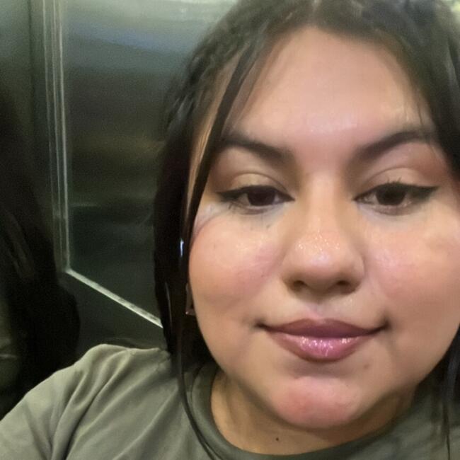 Babysitter in Rancagua: Farideh