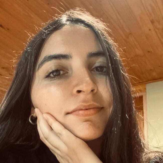 Babysitter in La Higuera (Región de Valparaíso): Cynthia