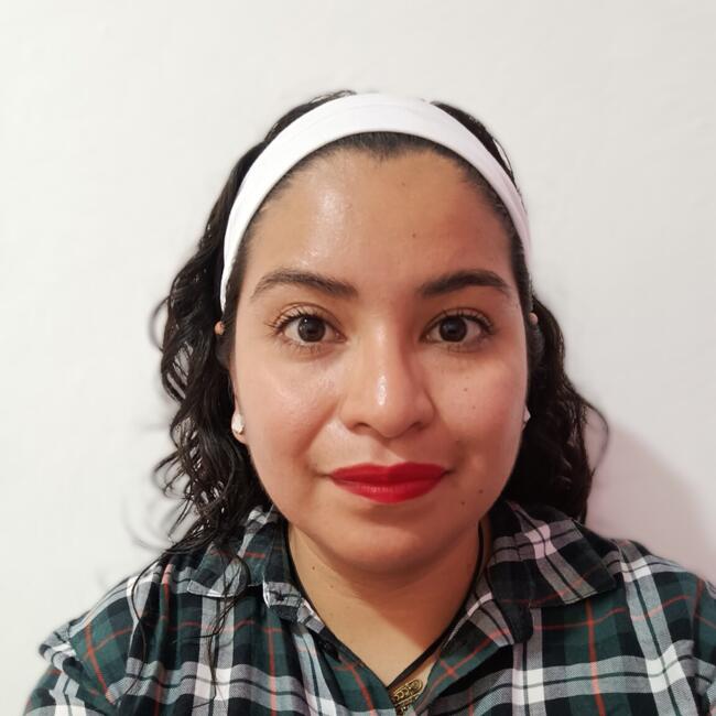 Babysitter in Tepeji del Río de Ocampo: Natalia Abigail