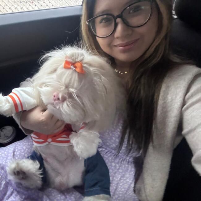 Babysitter in Toronto: Nathania