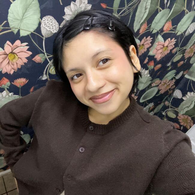 Babysitter in Temuco: Valentina