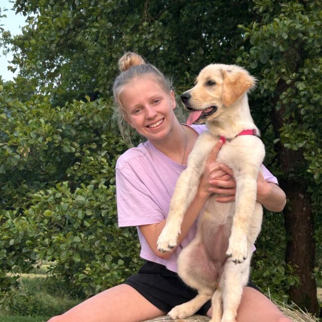 Babysitter in Borovnica: Żiva