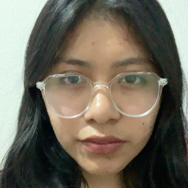 Babysitter in Colonia Álvaro Obregón: Lizzeth rubi