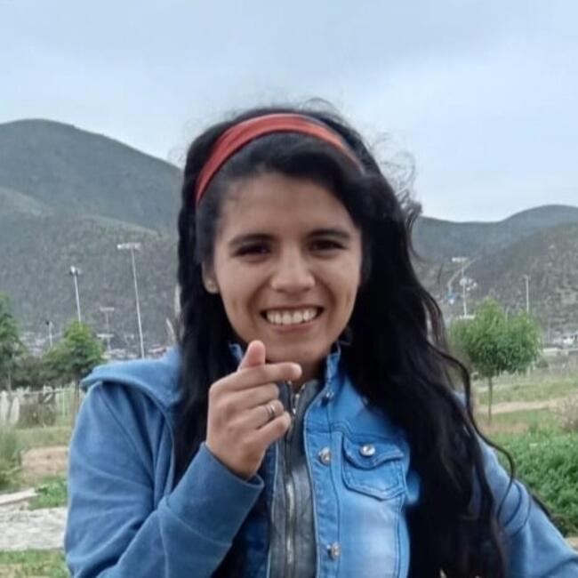 Babysitter in La Serena: Estefania