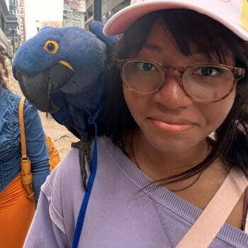 Babysitter a Firenze: Care