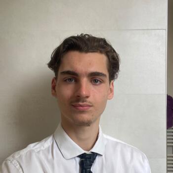 Babysitter in Savigny-sur-Orge: Louis