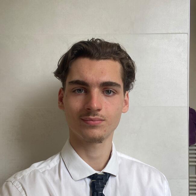 Babysitter in Savigny-sur-Orge: Louis