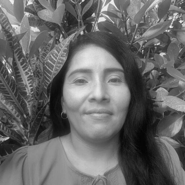 Babysitter in Chitré: Roselyn