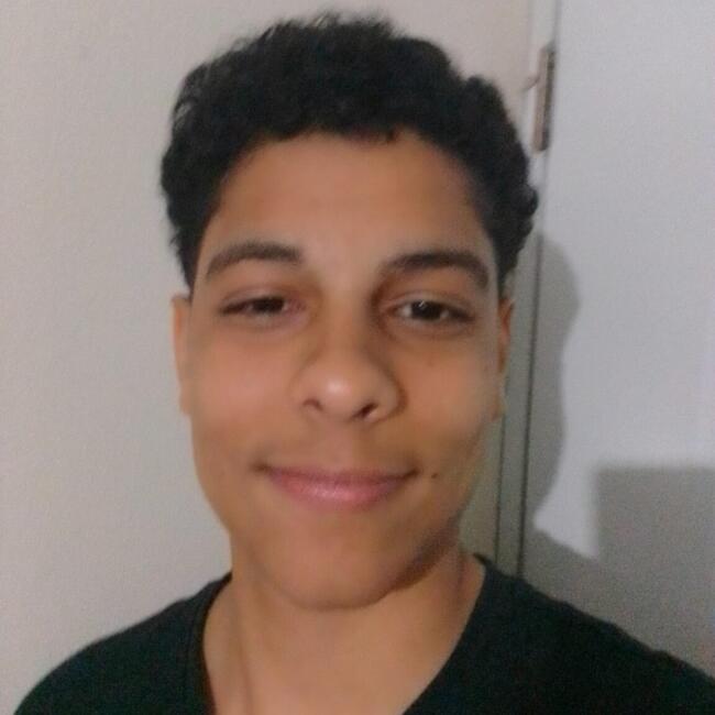 Babysitter in Santiago de los Caballeros: Mikael