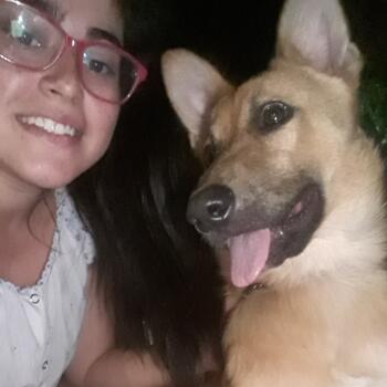 Babysitter in Posadas: Roociio.