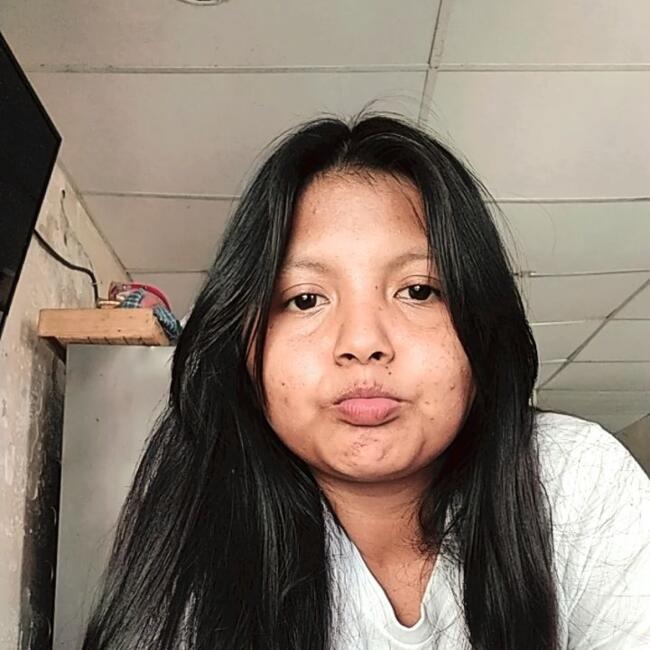 Babysitter in Soledad: Arianyely palmar