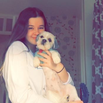 Babysitter in York: Holly