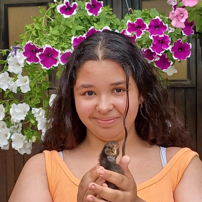 Babysitter in Bouffémont: Maïlou