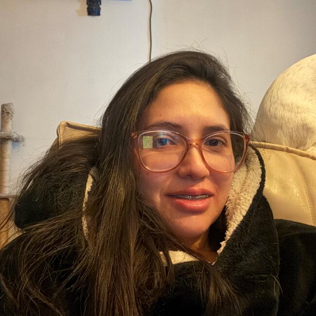 Babysitter in Santiago: Marisela