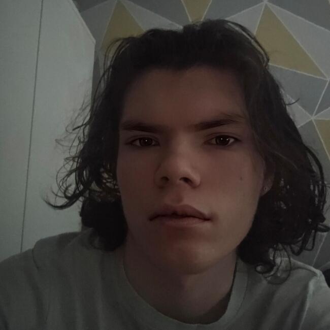 Babysitter in Bristol: Tyler