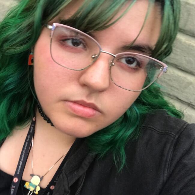 Babysitter in Ribeirão Pires: Nina