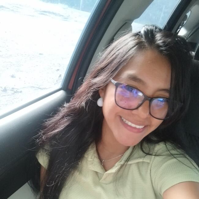 Babysitter in Arraiján: Dayana Alfaro