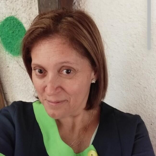 Babysitter in Providencia: Carmen Gloria