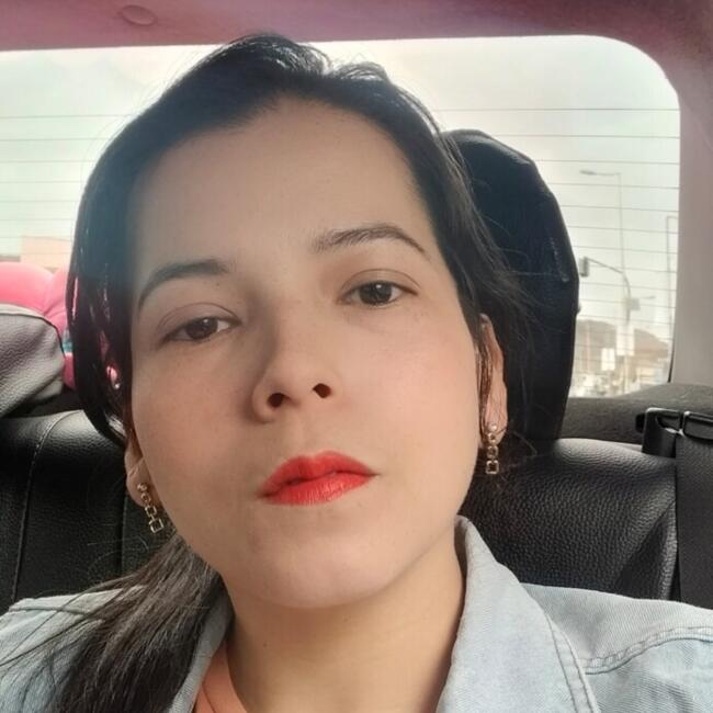 Babysitter in Antofagasta: Yanis