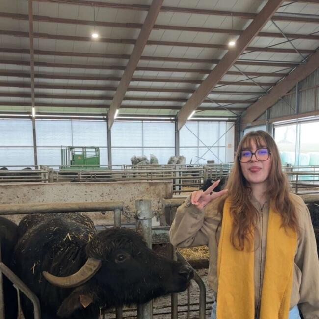 Babysitter in Koekelberg: Ivona