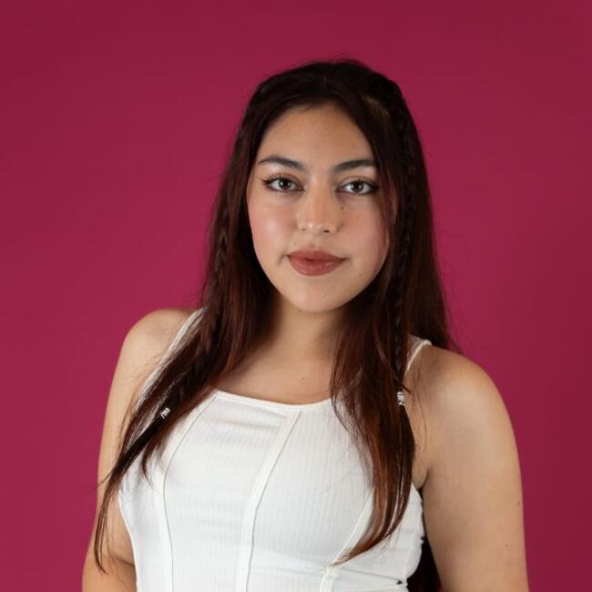 Babysitter in Calama: Gabriela