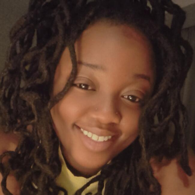 Babysitting job in Minneapolis: Ashley