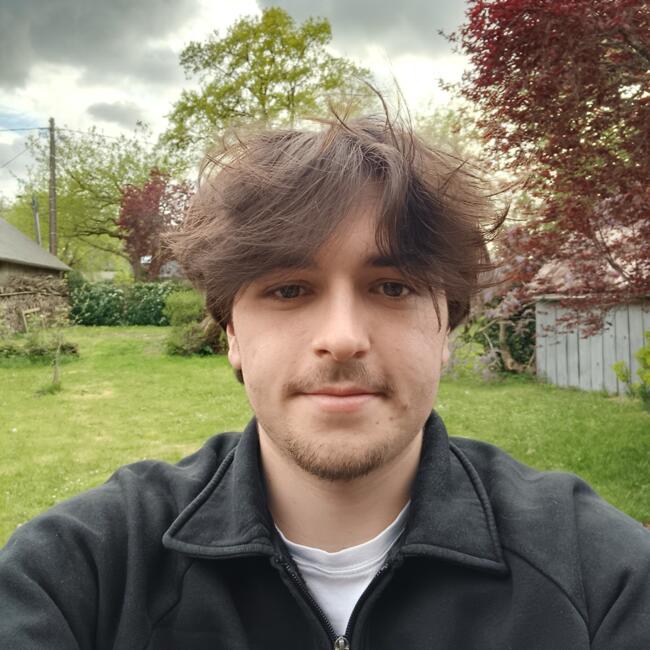 Babysitter in La Chapelle-sur-Erdre: Sacha