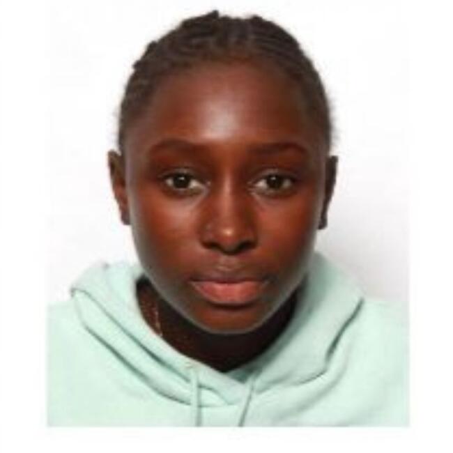 Babysitter in Saint-Michel-sur-Orge: Kantourou