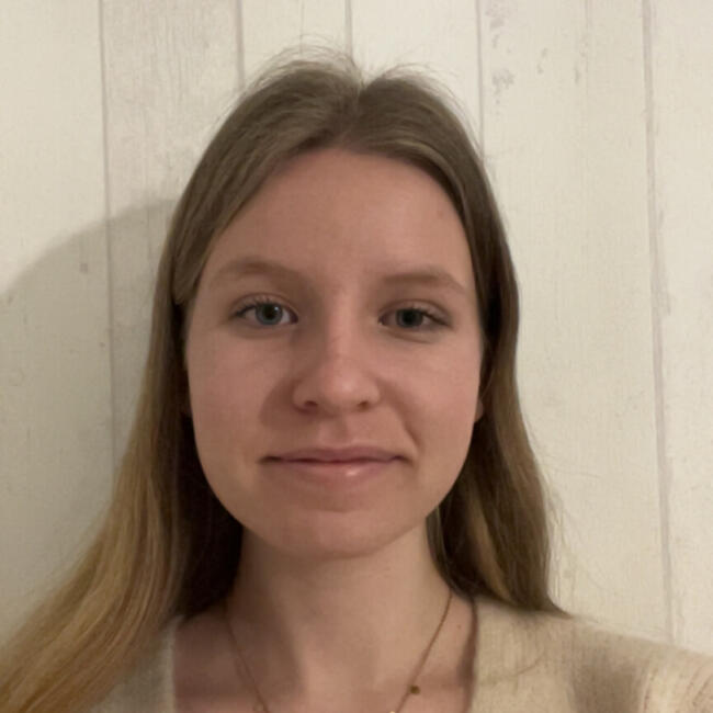 Babysitter in Bruges: Camille