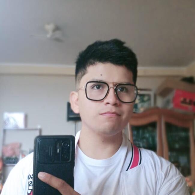 Trabajo para niñera en Chincha Alta: Daniel