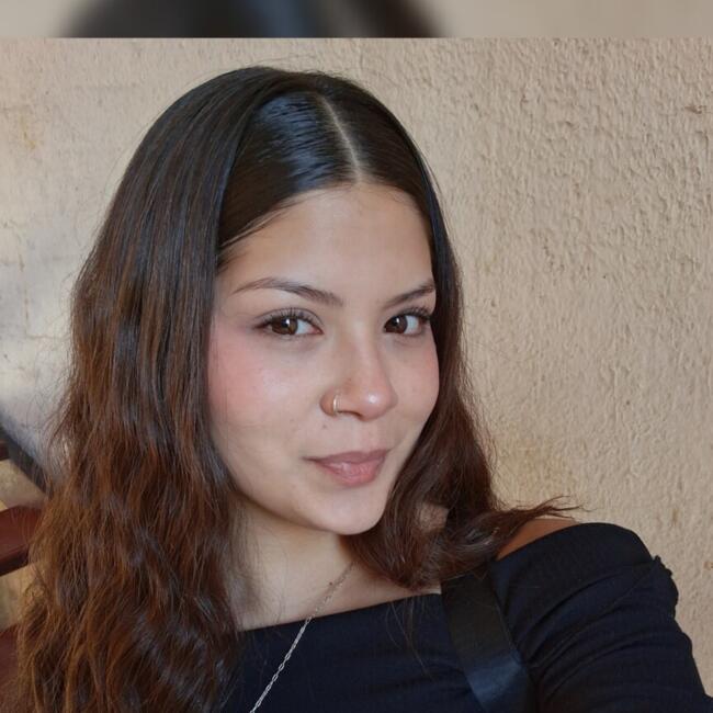 Babysitter in Valparaíso: Aleney