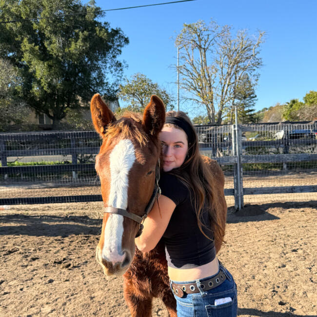 Babysitter in Dublin: Rosemary