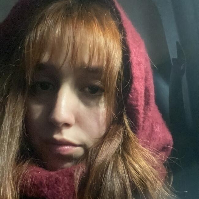 Babysitter in Chillán: Danixsa