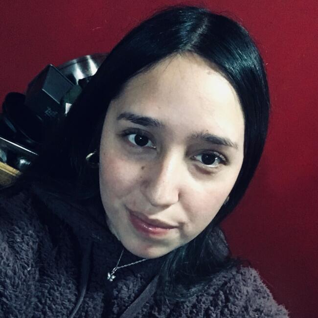 Babysitter in Chillán: Danixsa