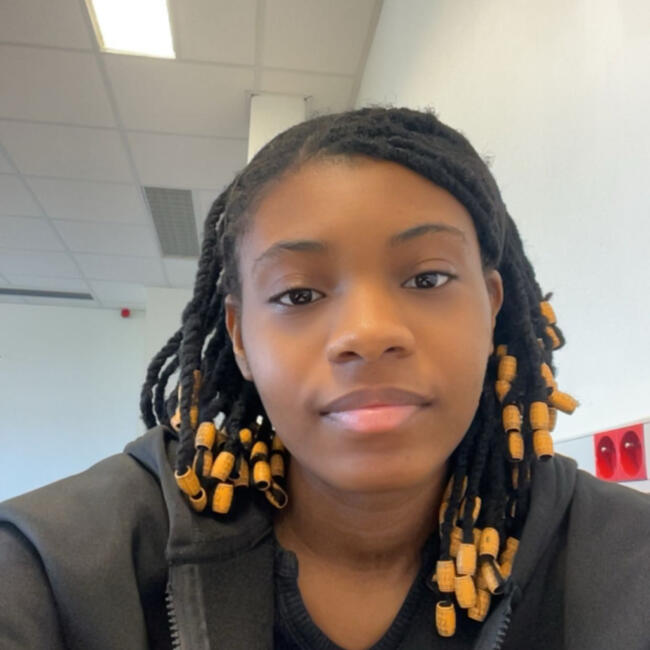 Babysitter in Nantes: Jolvie