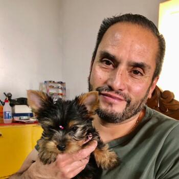 Trabajo para niñera en Cota: trabajo de niñera Sebastian